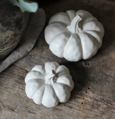 Bild av dekorativa pumpor på rustik träyta