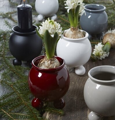 Bild av krukor med hyacinter på rustik träyta