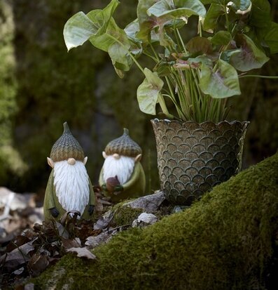 Bild av charmig scen med skogsinspirerad inredning