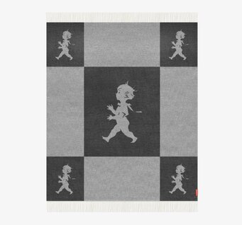 Bild av stilfull pläd med elegant antracitgrå färg