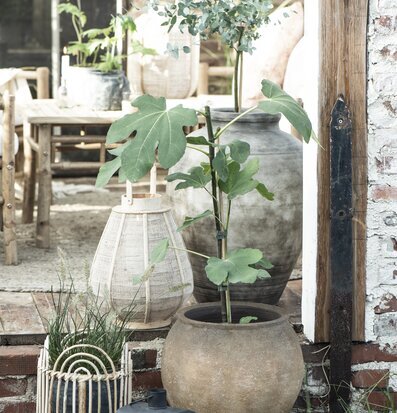 Bild av harmonisk uteplats med växter och belysning