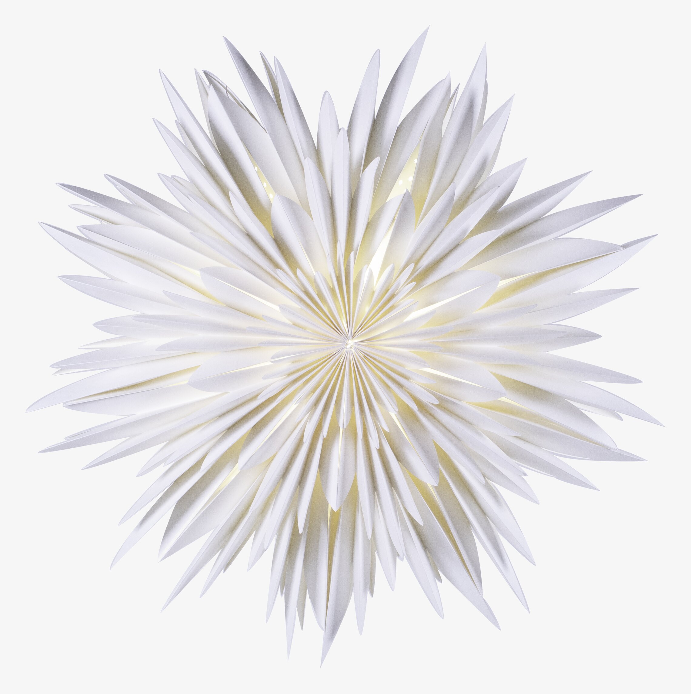 Bild av en elegant och intrikat julstjärna i vitt