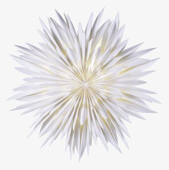 Bild av en elegant och intrikat julstjärna i vitt