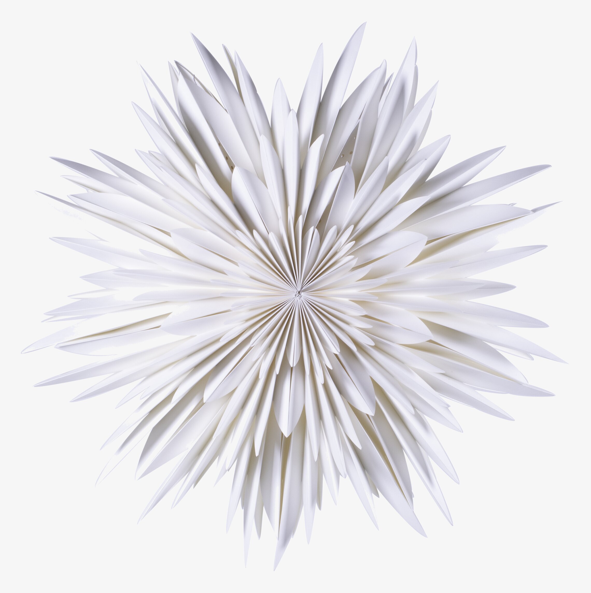 Julstjärna Maja 60 Vit från Watt och Veke i fönster