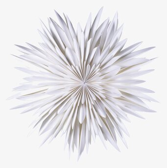 Bild av elegant vit julstjärna med intrikat design