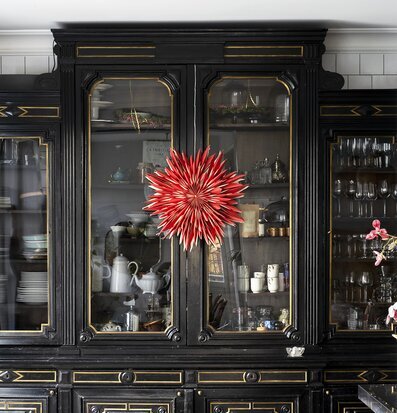 Bild av elegant interiör med julstjärna och bokhylla