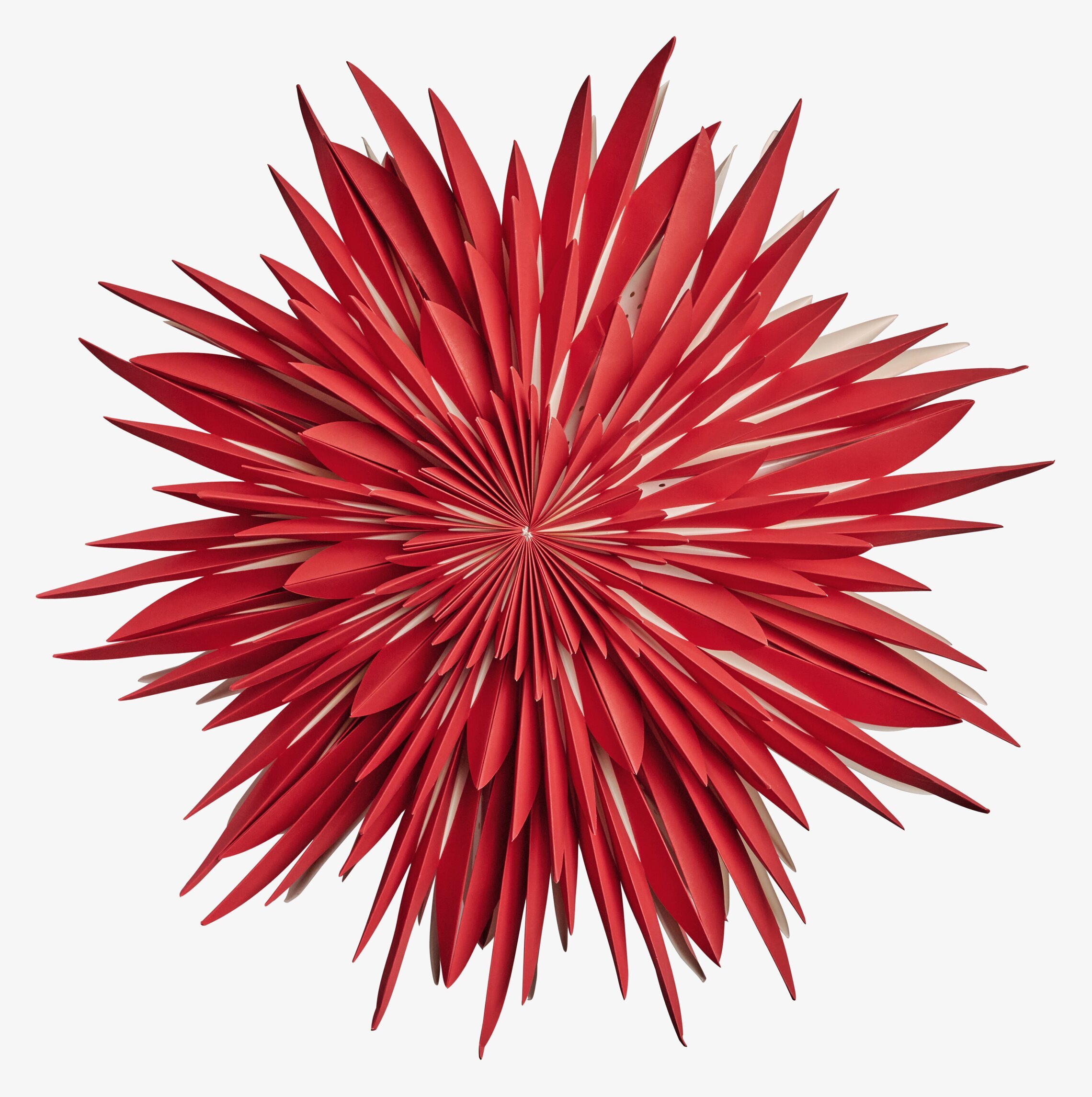 Bild av imponerande röd julstjärna med djärv design