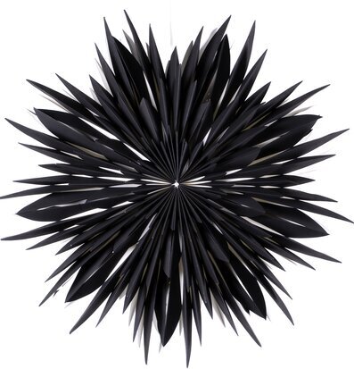 Bild av elegant svart julstjärna med stilren design