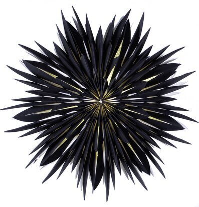 Bild av elegant och modern julstjärna i svart design