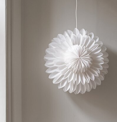 Bild av elegant inredning med julstjärna i fokus