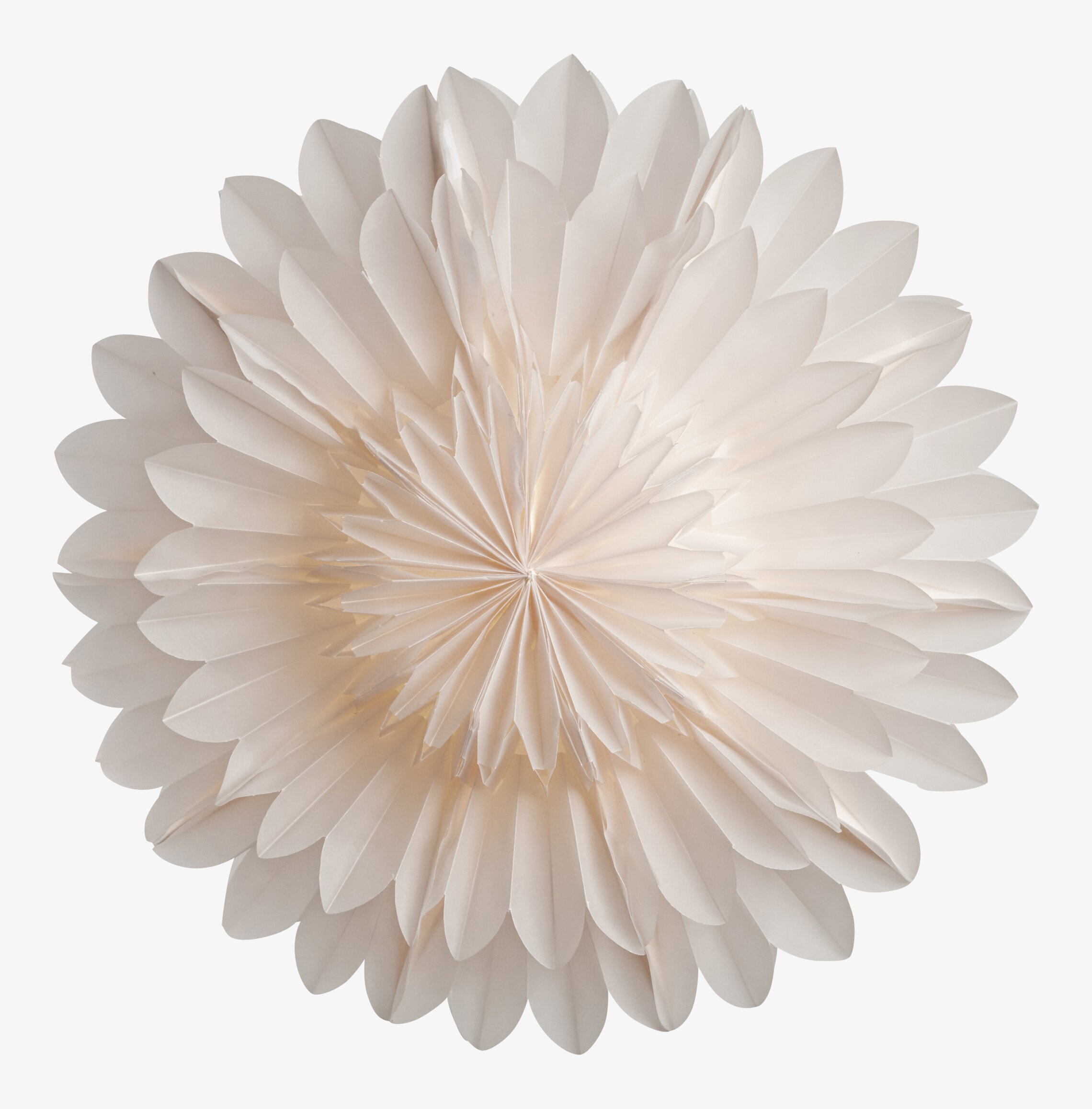 Julstjärna Lotus 44 Vit från Watt och Veke i fönster