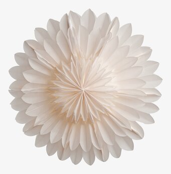 Bild av elegant julstjärna i skandinavisk design