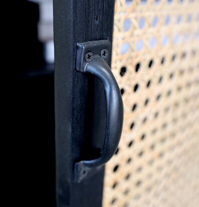 Bild på skåpdörr med rotting och metallhandtag