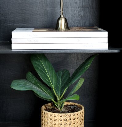 Foto av stilfullt skåp med rotting och mässingsdetaljer