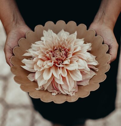 Bild av dekorativ skål med blomma i harmonisk komposition