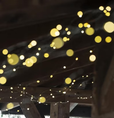 Bild av stämningsfull utomhusmiljö med ljusslinga