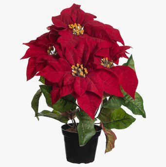 Foto av konstgjord julstjärna i kruka, 38 cm hög