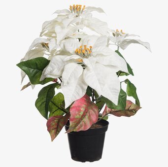 Foto av konstgjord julstjärna med realistiska detaljer