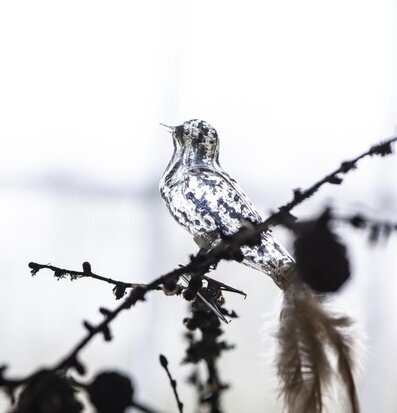 Bild av dekorativ fågel på kvist med skimrande yta