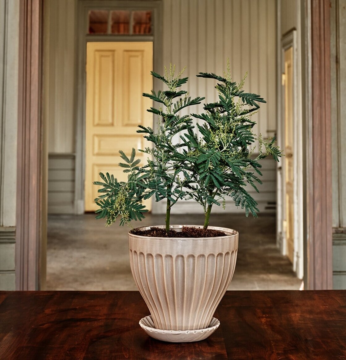 Kruka Beige 21 cm Inkl Fat från Strömshaga på trägolv