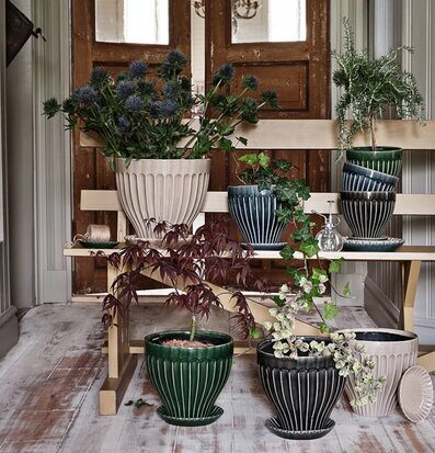 Bild av charmiga krukor i naturlig och rustik miljö