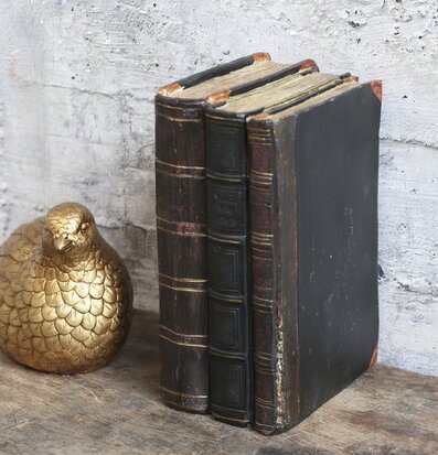 Bild av antikbruna böcker och gyllene fågelprydnad