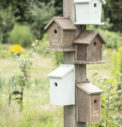 Bild av fågelholkar på träpåle i frodig trädgård