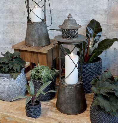 Bild av rustik scen med lanternor och krukväxter