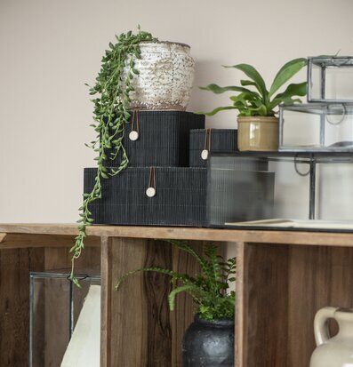 Bild av elegant hylla med växter och trädetaljer