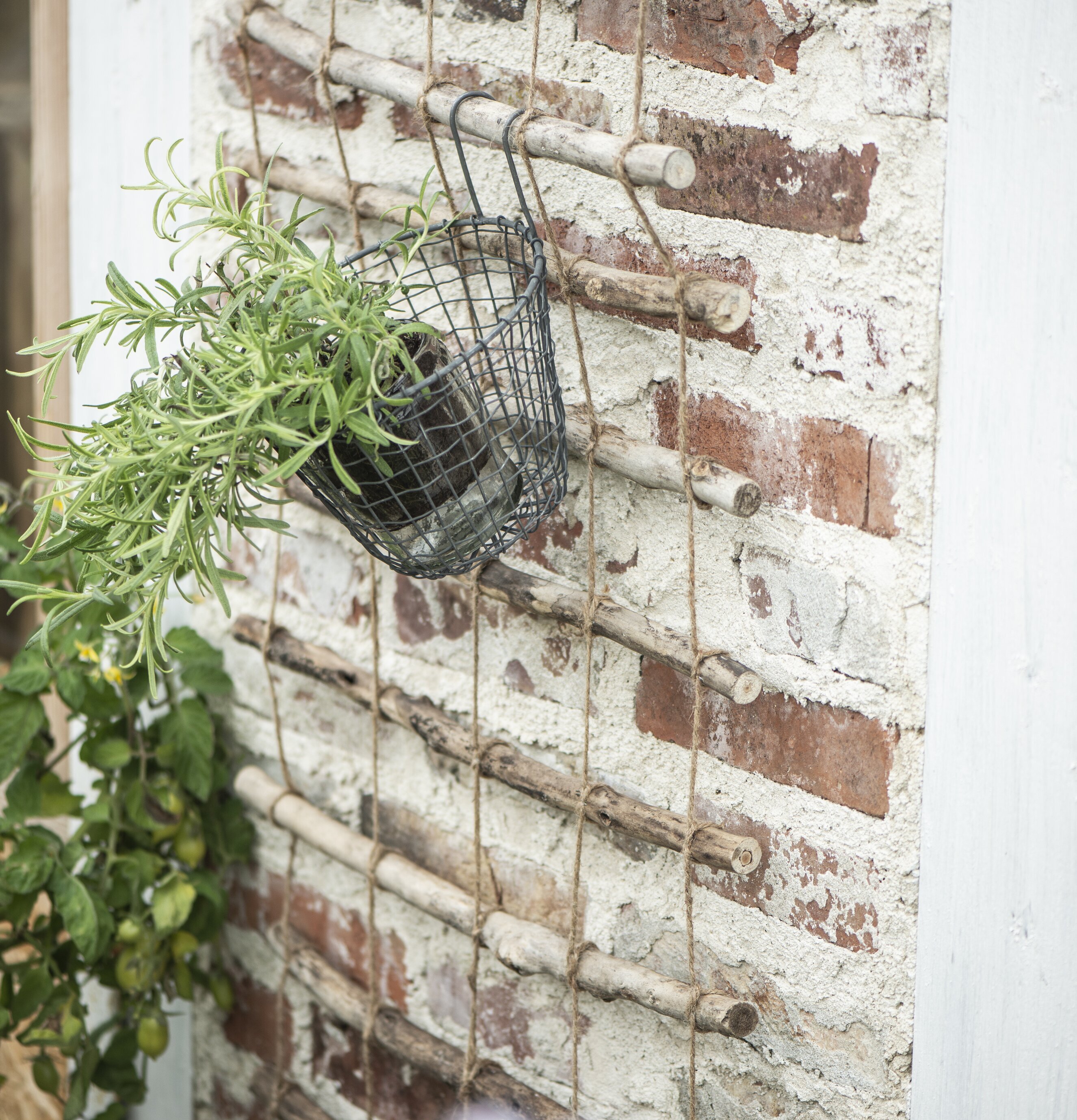 Träspaljé Kvist & Snöre från IB Laursen mot murvägg