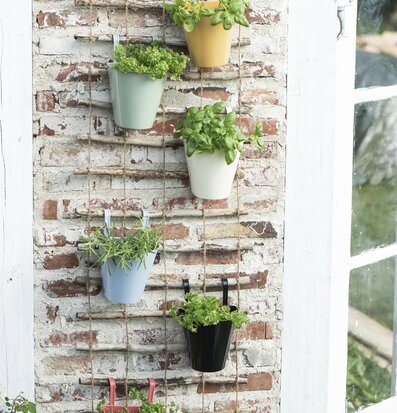 Bild av tegelfasad med färgglada krukor och växter