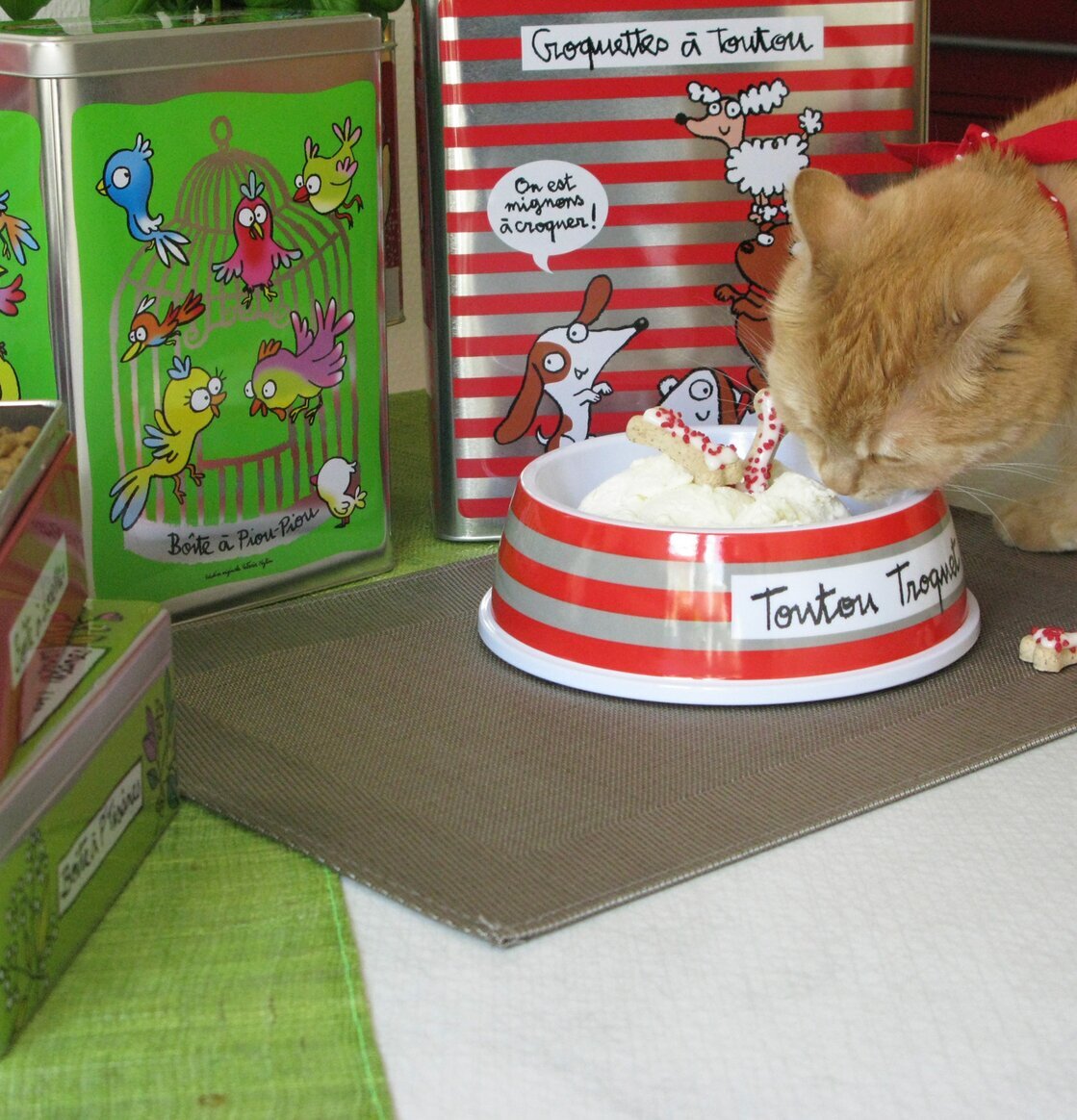 Bild av färgglad och inbjudande scen för djurälskare