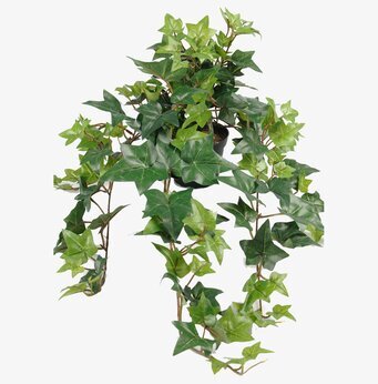 Bild av konstväxt murgröna i kruka för inomhusbruk