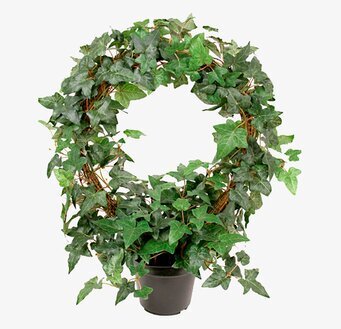 Bild av stilren konstgjord murgröna i modern kruka