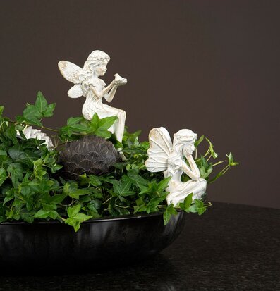 Bild av älvor och murgröna i harmonisk komposition