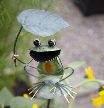 Bild av charmig regnmätare med groda i trädgård