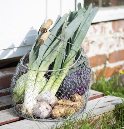Foto av rustik trådkorg med grönsaker utomhus