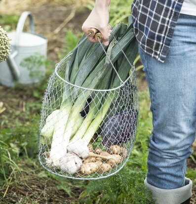 Bild av vikbar korg fylld med nyskördade grönsaker
