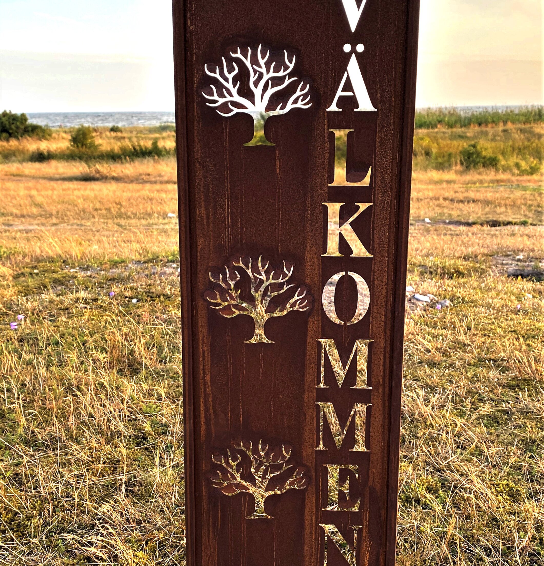 Bild av elegant trädgårdsskärm med rostig yta