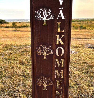 Bild av elegant trädgårdsskärm med rostig yta