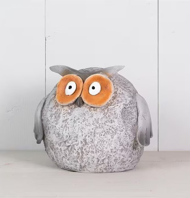 Foto: Grå uggla med uttrycksfulla ögon och struktur