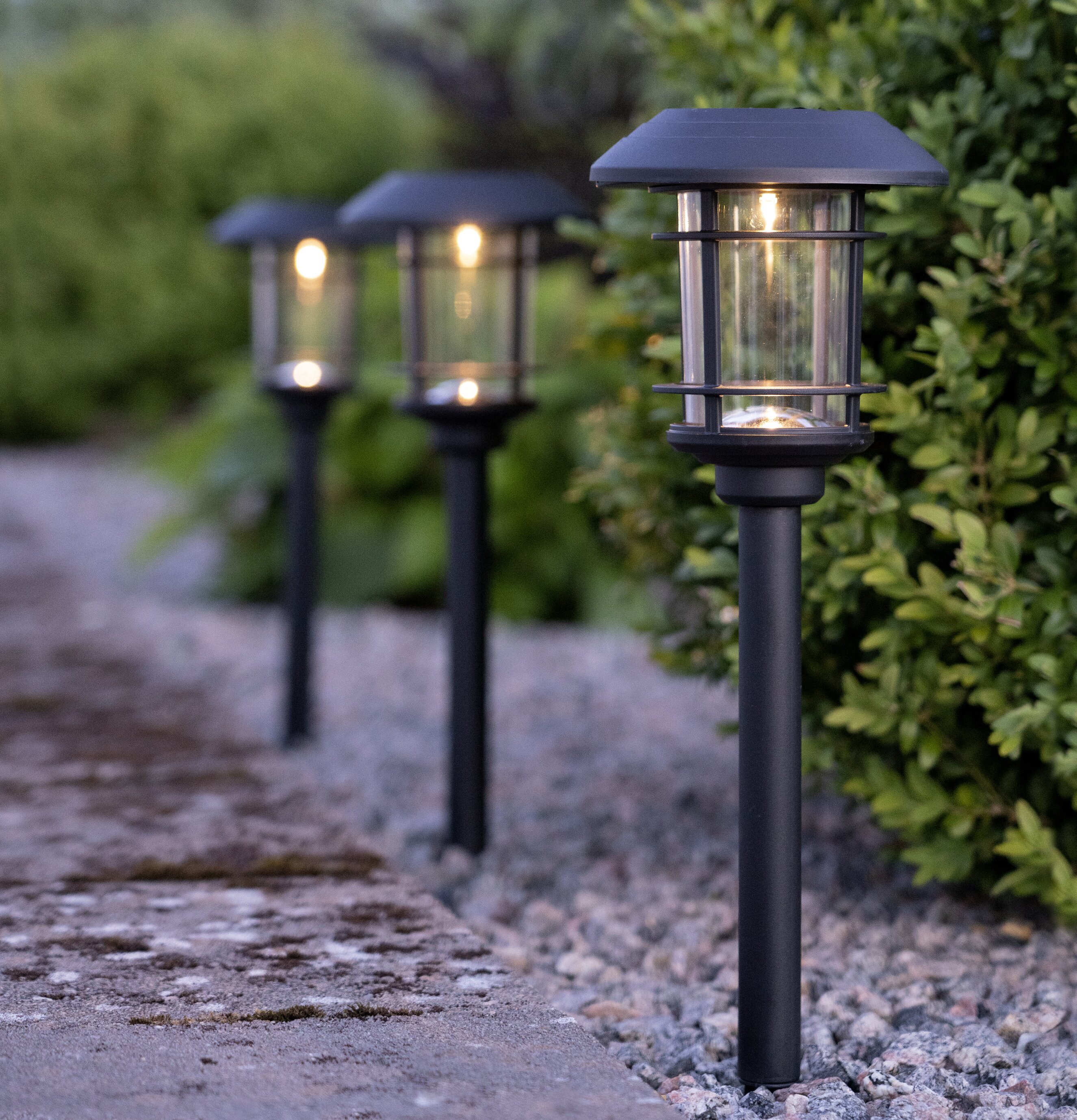 Solcellsbelysning Fride 3-Pack från Star Trading i trädgård