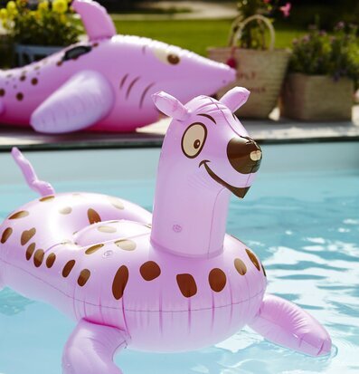 Bild av uppblåsbara djurleksaker i solig pool