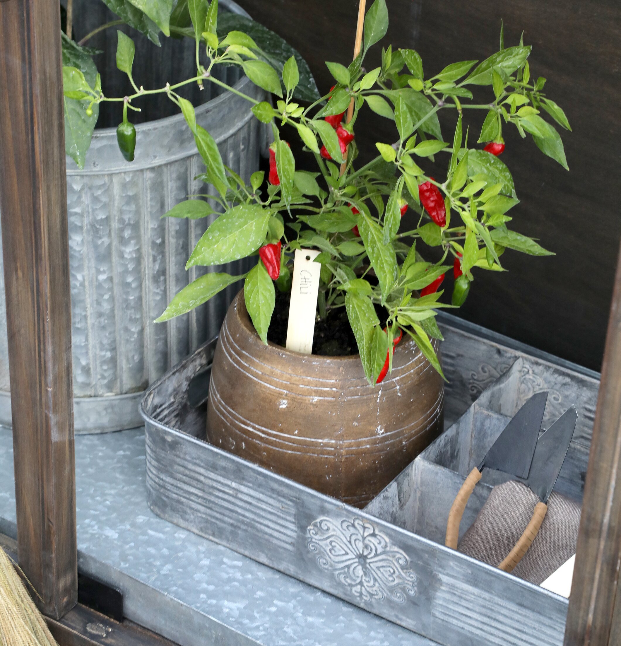 Foto av elegant arrangemang i rustik trädgårdsmiljö