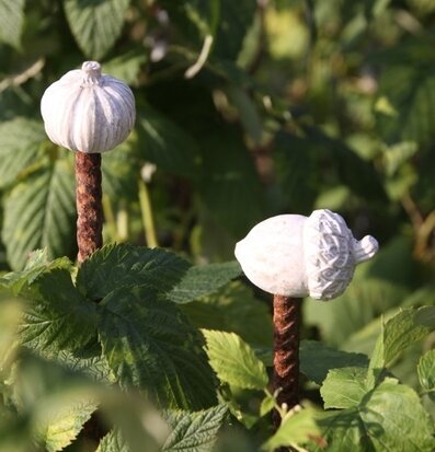 Bild av dekorativa trädgårdselement och växter