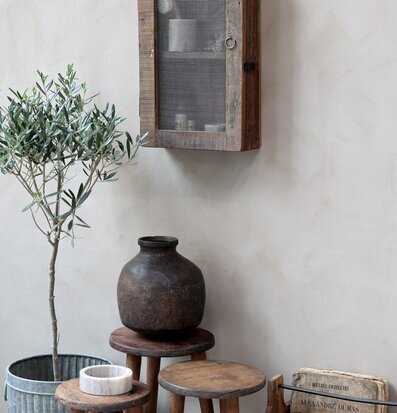 Bild av rustik interiör med väggskåp och olivträd