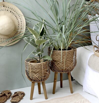 Foto av harmonisk inredning med rotting och växter