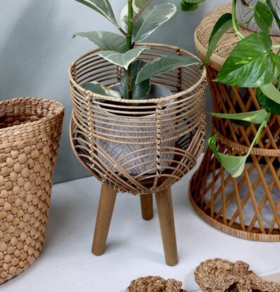 Bild av elegant inredning med rotting och växter