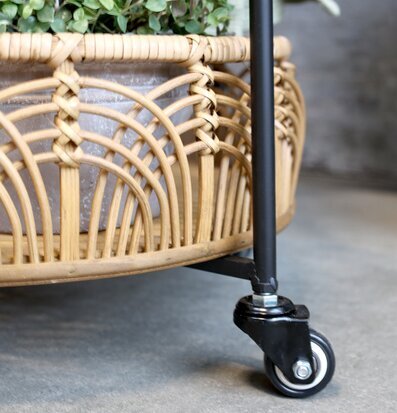 Bild av elegant bambuvagn med metall och grönska