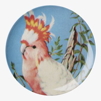 Bild av tallrik med livfull påfågel och naturmotiv